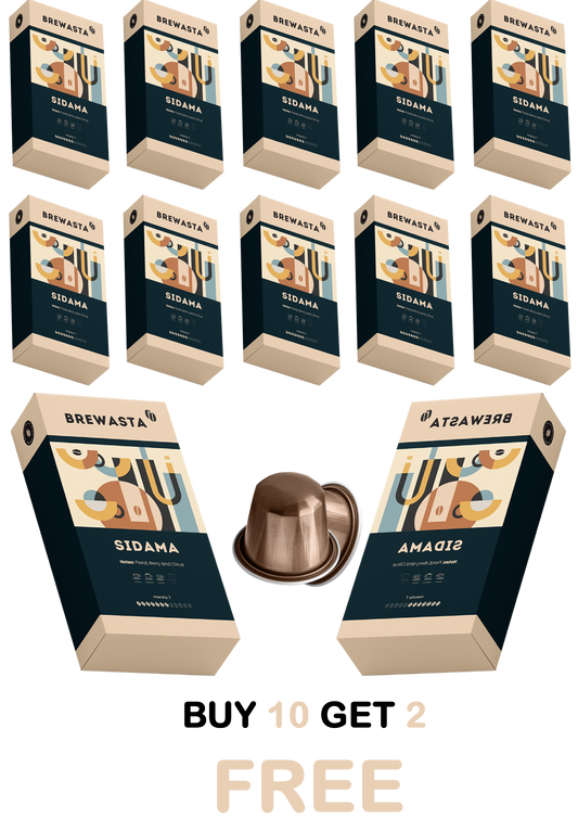 Sidama Nespresso Compatible Coffee Pods Bundle - Buy 10 get 2 free